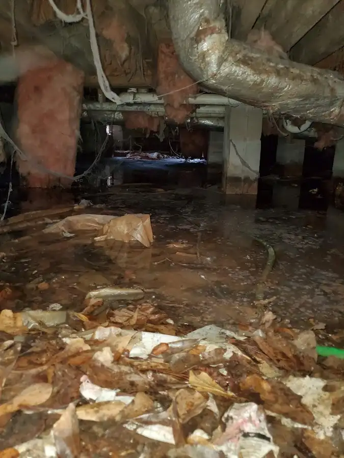 Crawl space flood assessment for Leak Detection & Repair in Livingston