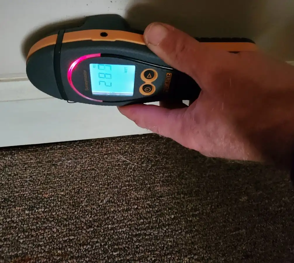 Moisture detection at baseboard during Sewage Cleanup & Sanitation in Livingston